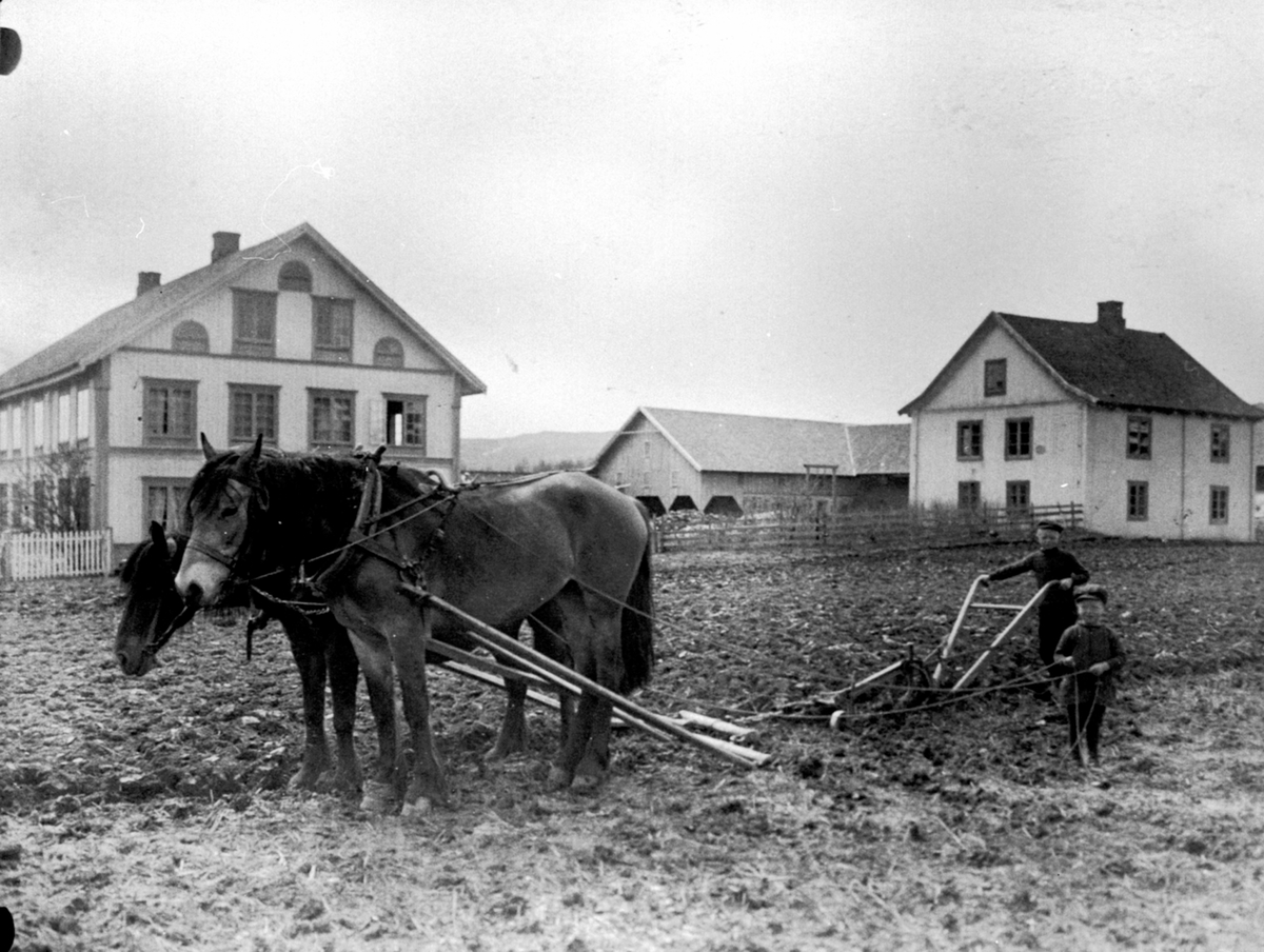 Anno Domkirkeodden, Våronn på Mo gård, Moelv, Ringsaker. Tospann hester trekker plog. Even f.1903 ved arden og Kristoffer Glestad f.1906 med tømmene.