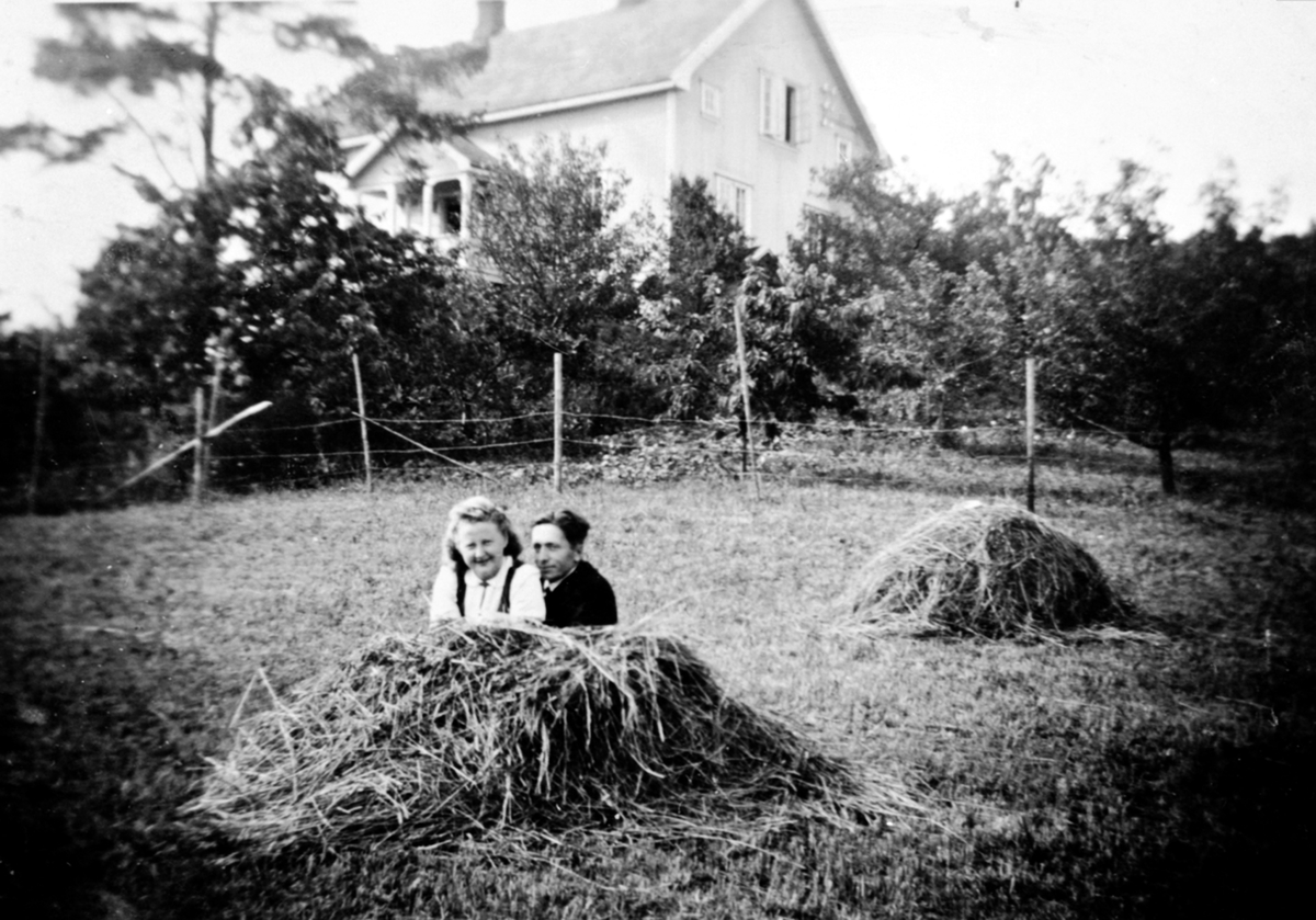 Anno Domkirkeodden, Ungt par sitter i høysåte på Raknerud søndre, Helgøya. Ragna Langseth f.1918 og Halftan Slåtten (1910-1985)
