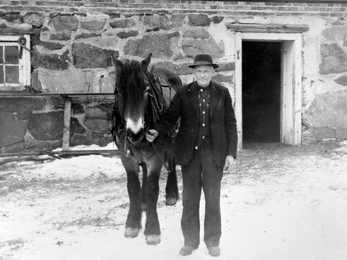 Anno Domkirkeodden, Stallkar Lars Simensen (GamleLars) med hesten "Mossa" foran stallen på Mo gård, Moelv, Ringsaker. Bildet er tatt på 60 årsdagen til Lars Simensen.