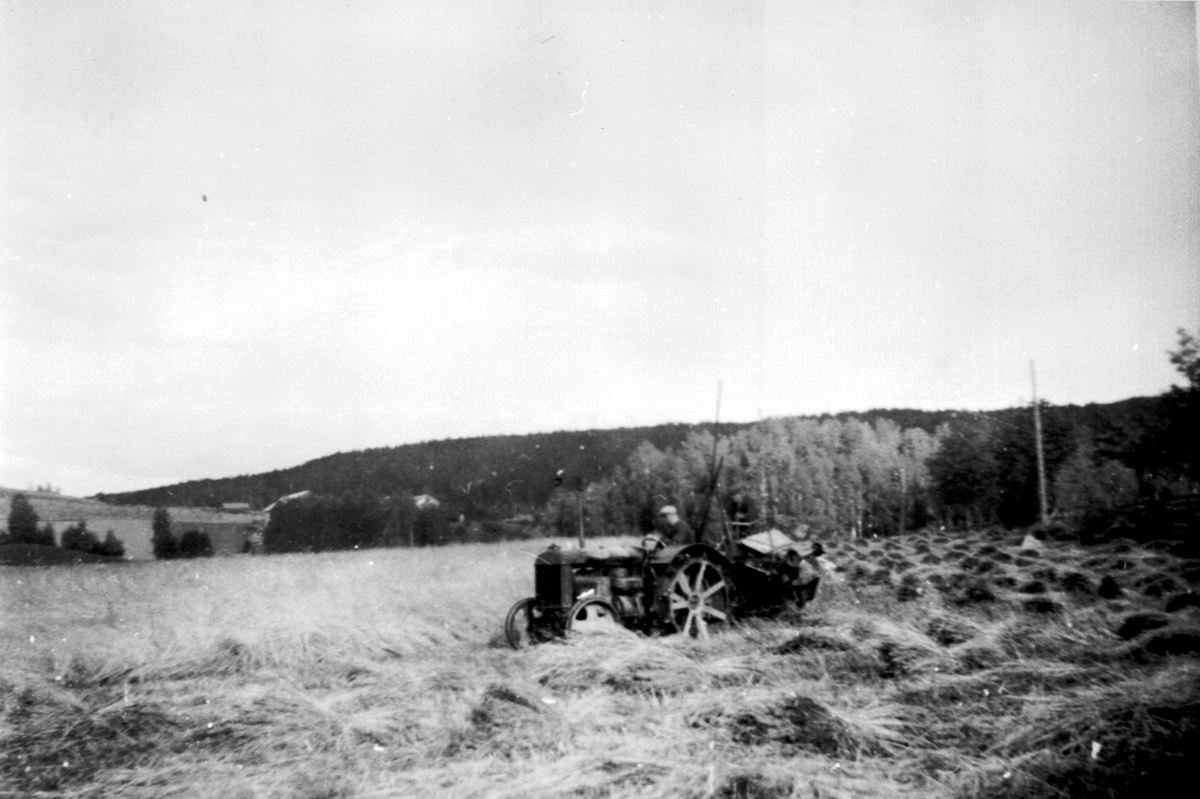 Anno Domkirkeodden, Skuronn på Skjønsby gård, Ringsaker. Fordson jerntraktor med slåmaskin.