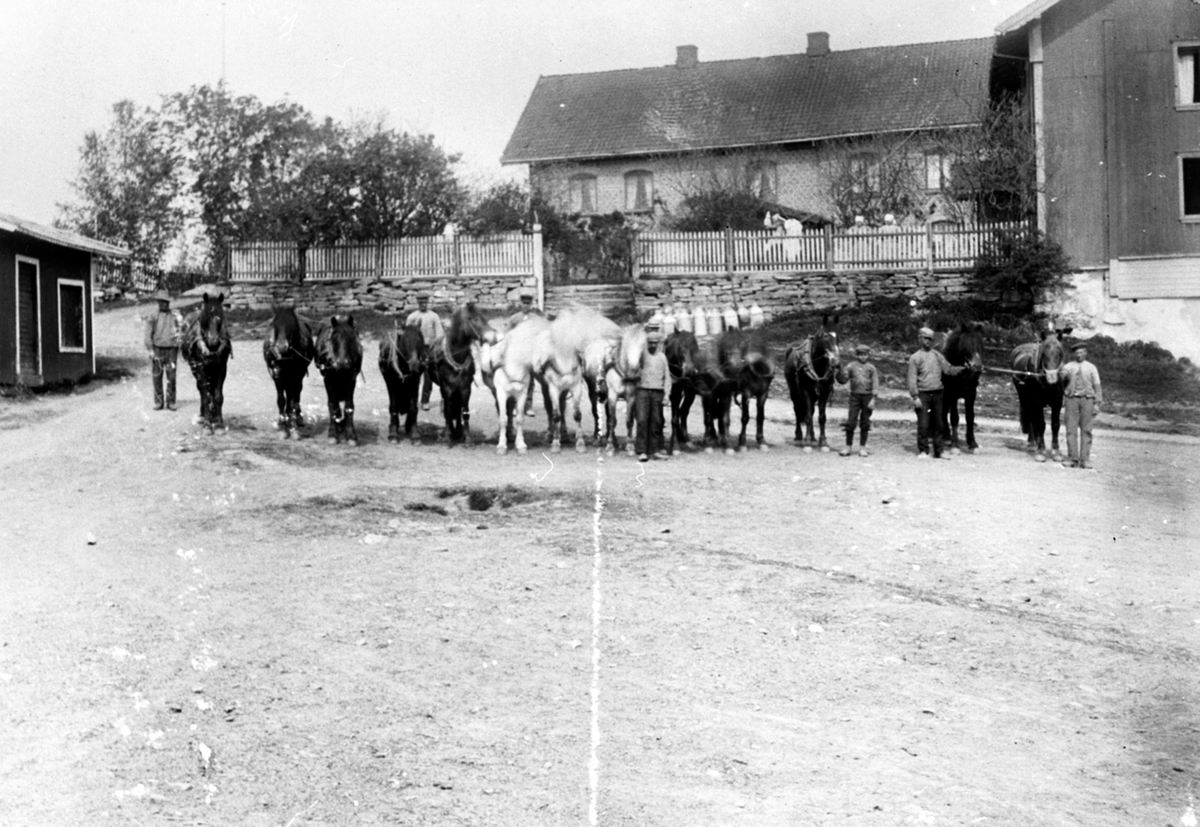 Anno Domkirkeodden, Mange menn oppstillt med 13 hester på inntunet på Skredshoel, Ringsaker. Hovedbygningen i bakgrunnen. Til venstre er Gudbarnd Ørbeck, nummer to til høyre er Einar Gran, ytterst til høyre er Hallvar Skaug.