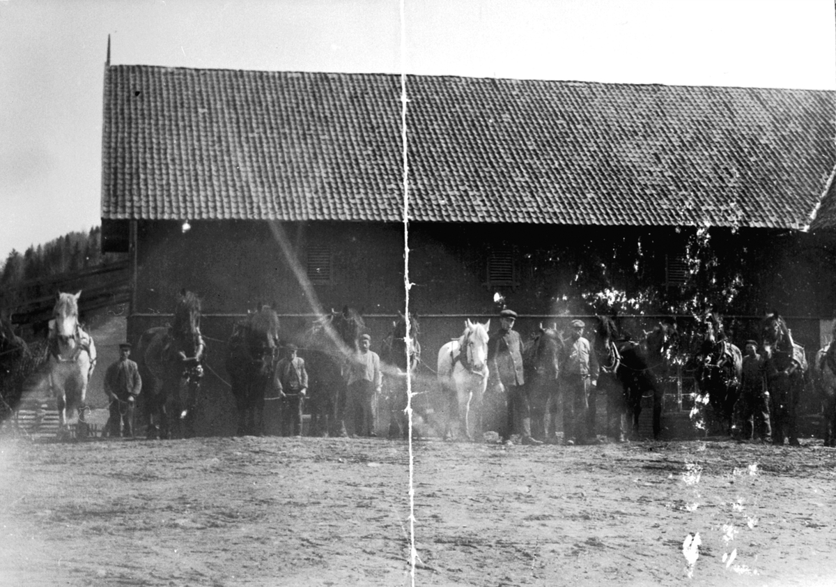Anno Domkirkeodden, Hester og arbeidere oppstilt for stallåven på Skredshoel, Ringsaker.