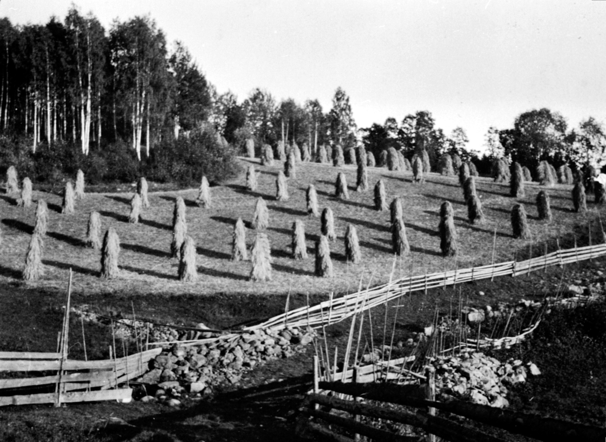 Anno Domkirkeodden, Kornsnes i Røsetåkeren langs gamlevegen, Fossen, Moelv.