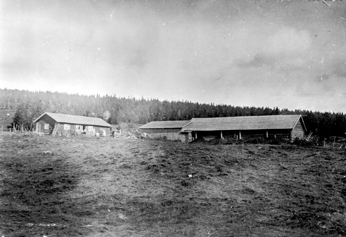 Anno Domkirkeodden, Eksteriør. Seter. Heramb sin seter på Moste i Ringsakerfjellet.