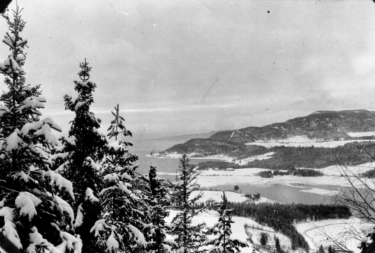 Anno Domkirkeodden, Utsikt over Bundefjorden, Kvarbergvika og Bangsberg fra Fangberget, Veldre, Ringsaker.