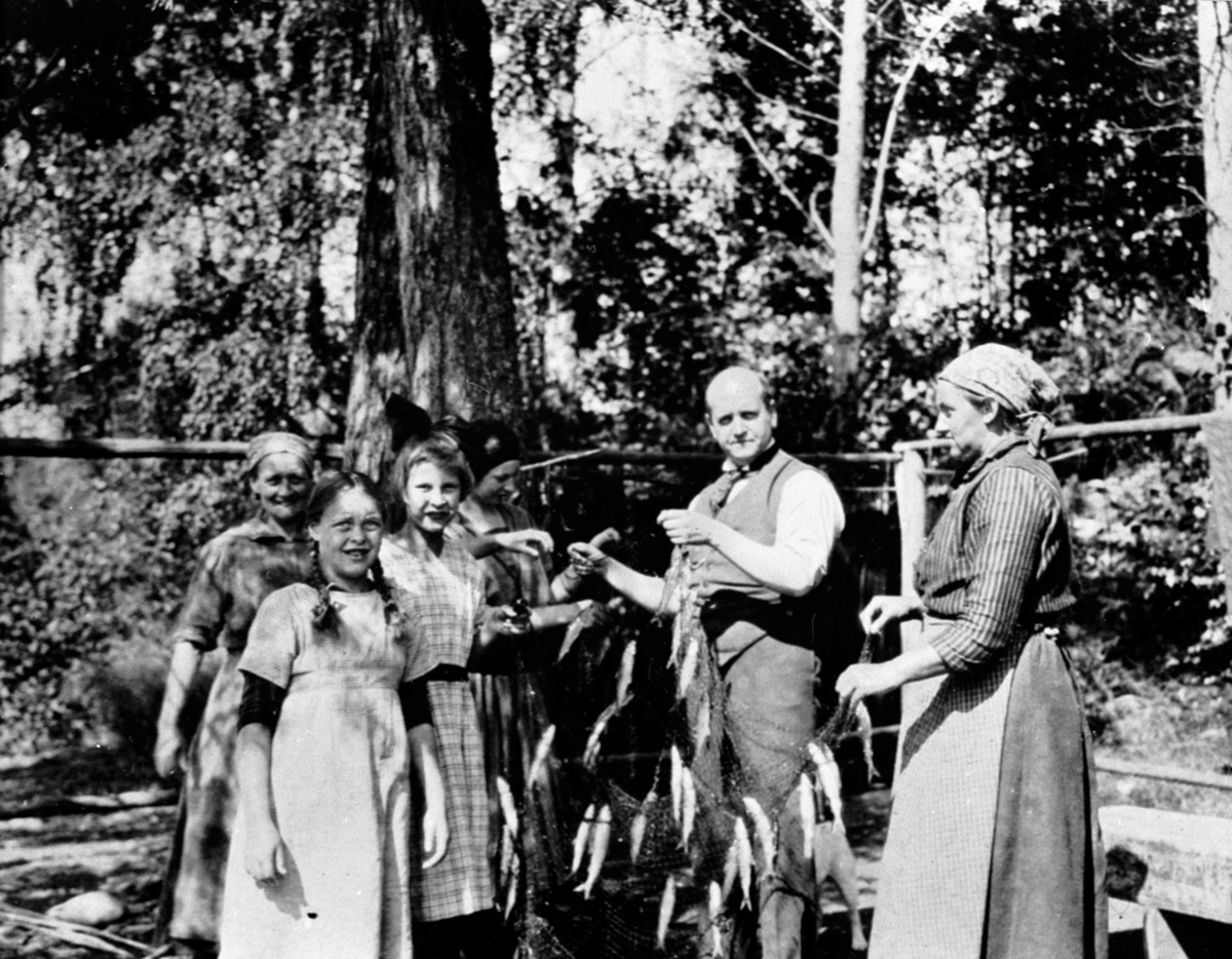 Anno Domkirkeodden, Rensing av sildegarn på Hovelsrud, Helgøya. Fra venstre er Tea Maurud, Olga Maurud, Mosse Matheson, Eivind Olssøn, Albertine Engeland.