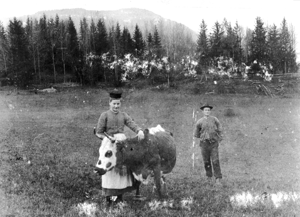 Anno Domkirkeodden, Anna Godager f.1882 med telemarksku på beite på Godager, Nes, Hedmark. Arnt Laurits Guåker f.1870 bak.