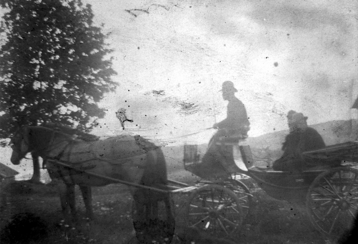 Anno Domkirkeodden, Grosserer W.W. Kildal i trille med to hester og kusk på Hoel gård, Nes, Hedmark. Dette er det eneste kjente bilde med grosserer Kildal i naturlige omgivelser.