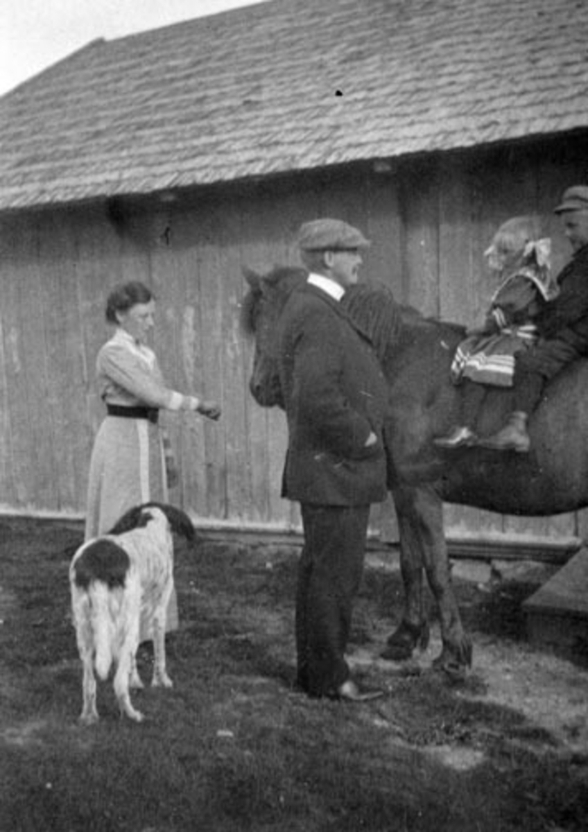 Anno Domkirkeodden, Gruppe voksne og barn med hest og hund. Fra venstre er Margit Berg, Marthinus Berg, Johanne Berg på hesten, Christian Berg. Seter, Sjusjøen.