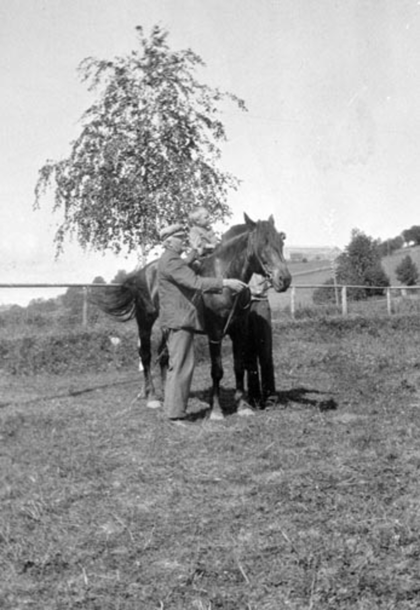 Anno Domkirkeodden, Liten gutt på hesteryggen. Eldre mann holder. Thore og Thore Rør, Rør store, Ringsaker.