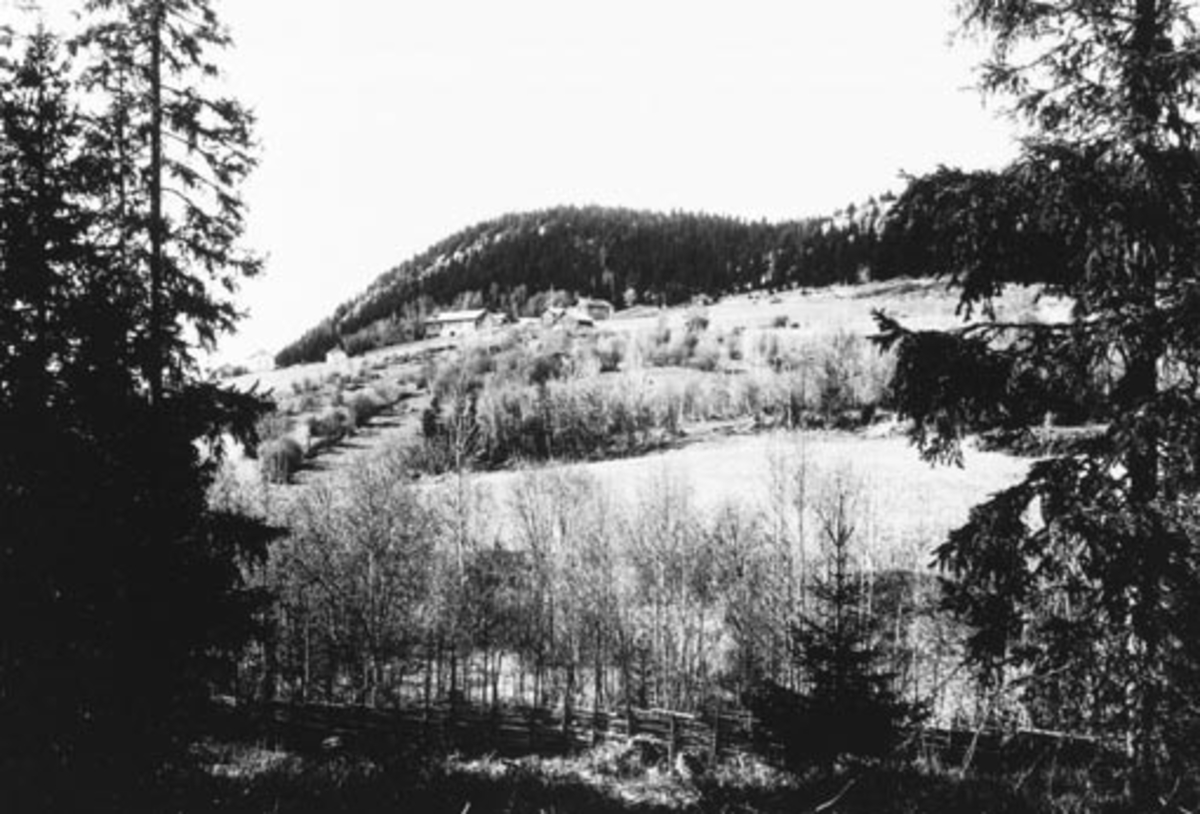 Anno Domkirkeodden, Høsbjørgårdene sett nedenfra, Furnes, Ringsaker.