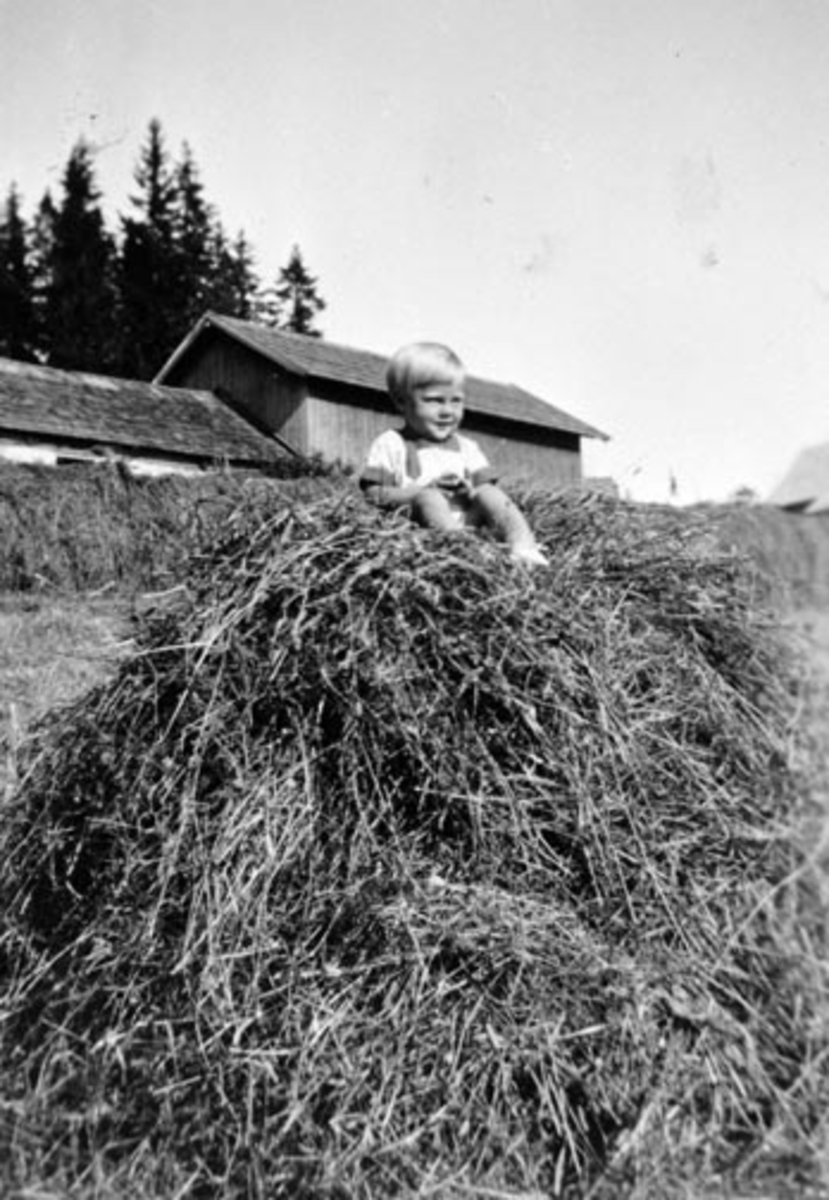 Anno Domkirkeodden, Husmannsplass, Nordgrefsheim, uthus, høyonn, liten gutt i høyet, Willy Stolpestad, Nes, Hedmark.
