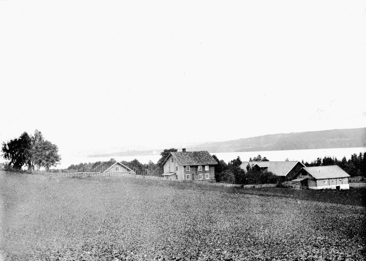 Anno Domkirkeodden, Gardsbruk Bredvold, Nes, Hedmark. Den gamle føderådsbygningn, hovedbygningen, 2 låver og fjøs.