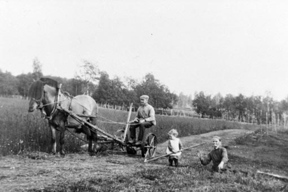 Anno Domkirkeodden, Slåttonn i Bakkom, Nes, Hedmark. Hest med slåmaskin. Nils Sørbo (1888-1970) på slåmaskin. Sigrid Ida f.1927 og bestemor Sigrid (1862-1938).
