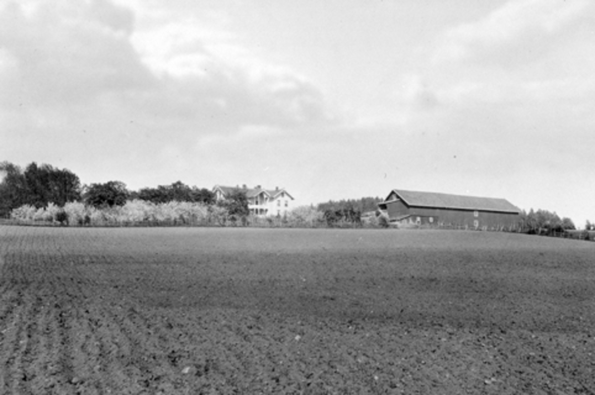Anno Domkirkeodden, Eksteriør gardsbruk, Helgeby, Nes, Hedmark.