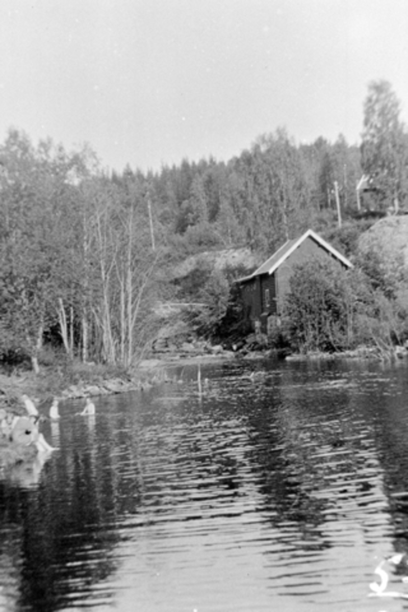 Anno Domkirkeodden, Moelva, barn bader i elva ved Moelven bruk. Ringsaker.