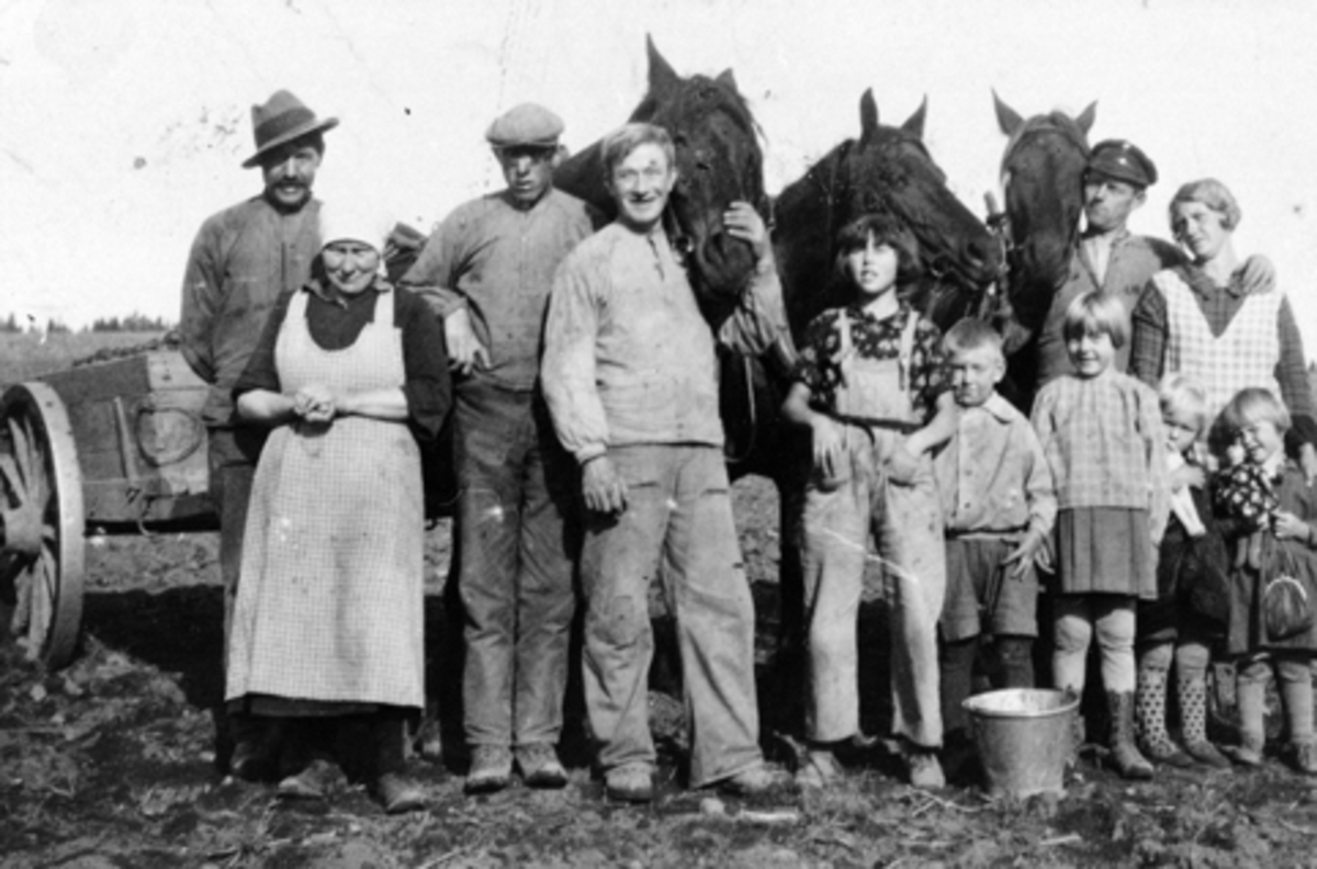 Anno Domkirkeodden, Potetonn på Hoel gård, Nes, Hedmark. Gruppe barn og voksne oppstillt med tre hester.