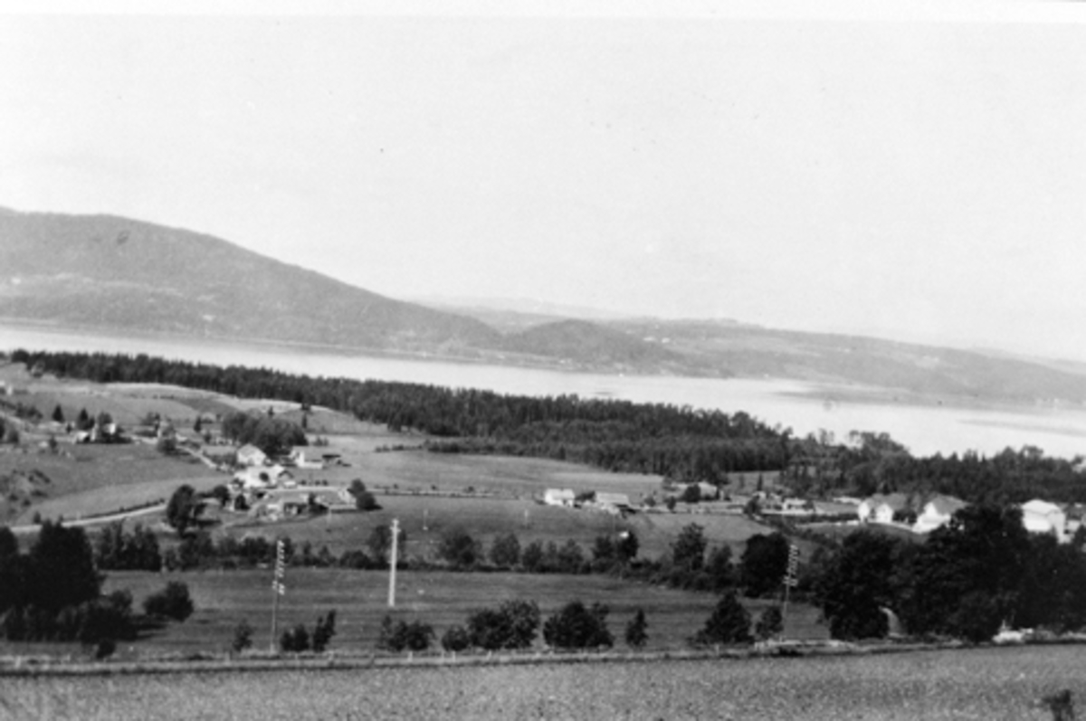 Anno Domkirkeodden, Utsikt fra Mørkved mot Mjøsa, Furnes, Ringsaker.