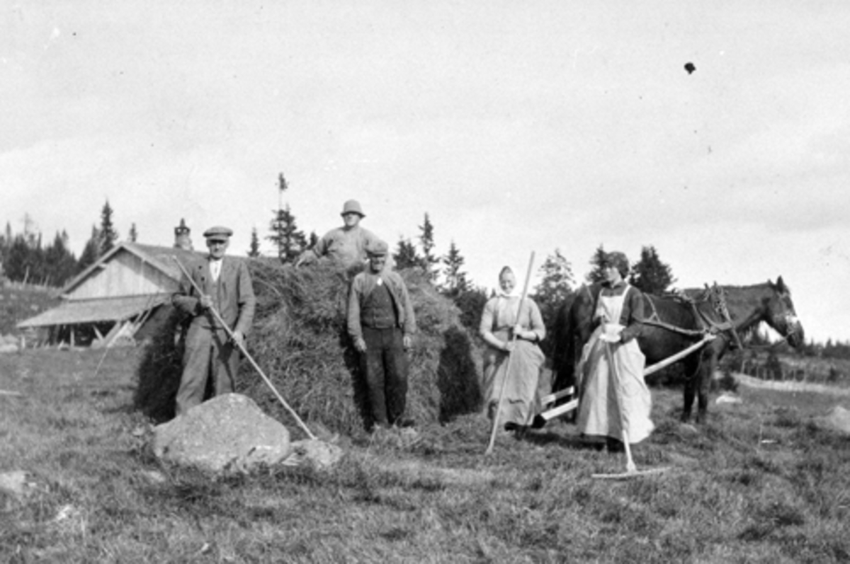 Anno Domkirkeodden, Slåttonn på seterløkka, Wettensetra på Øyungen. Fra venstre er Knut B. Wetten F:1849, Ole K. Wetten F:1896, ukjent, budeie Betre Engelund.