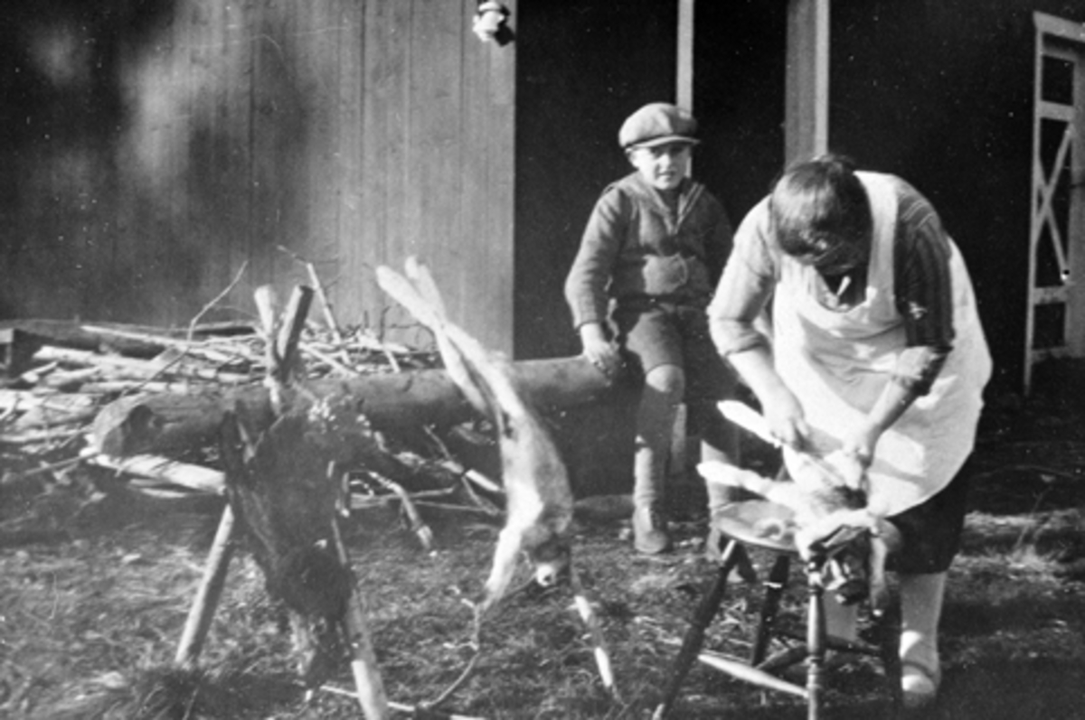 Anno Domkirkeodden, Slakting av hare, Magda Heggelund flås hare, sønnen Anders ser på. Kvilheim, Furnes ALmenning.