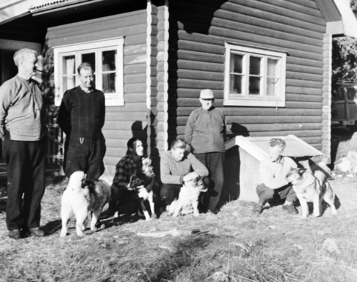 Anno Domkirkeodden, Elgjakt, 6 elgjegere med hunder, Toppen, Bjønnåsen, Furnes Almenning. Asmund Bakken, Arne Hermansen, Kjell Jevne, Anders K. Heggelund, Kristen Heggelund, Kristian Bakken.