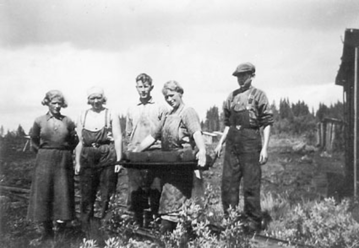 Anno Domkirkeodden, Høljamyra torvfabrikk (Gammal-Høljan), Furnes Almenning. Torvdrift i Høljamyra startet i 1934. Gruppe arbeider i torvmyra. Fra venstre er Marie Flåhagen, Aslaug Øverli, Gunnar Brattbakken, Karen Havik, Martin Flåhagen.