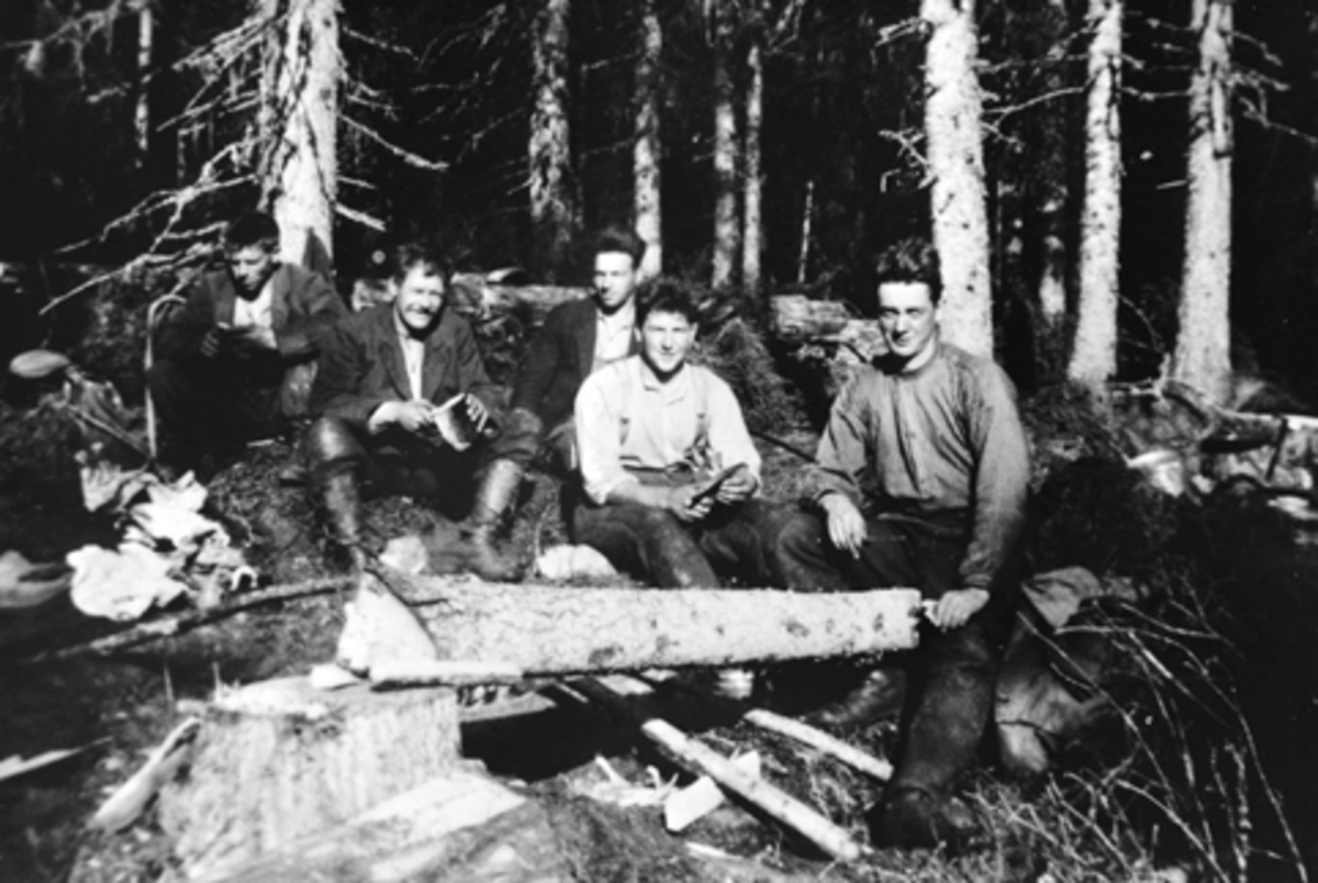 Anno Domkirkeodden, Tømmerhuggere med matpause. Ruskåshalla, Furnes Almenning. Bak fra venstre er Johan Sørlunden, Jørgen Rognlidalen, Olaf Sørlunden. Foran fra venstre er Even Sørlunden, Erling Lillemauset.