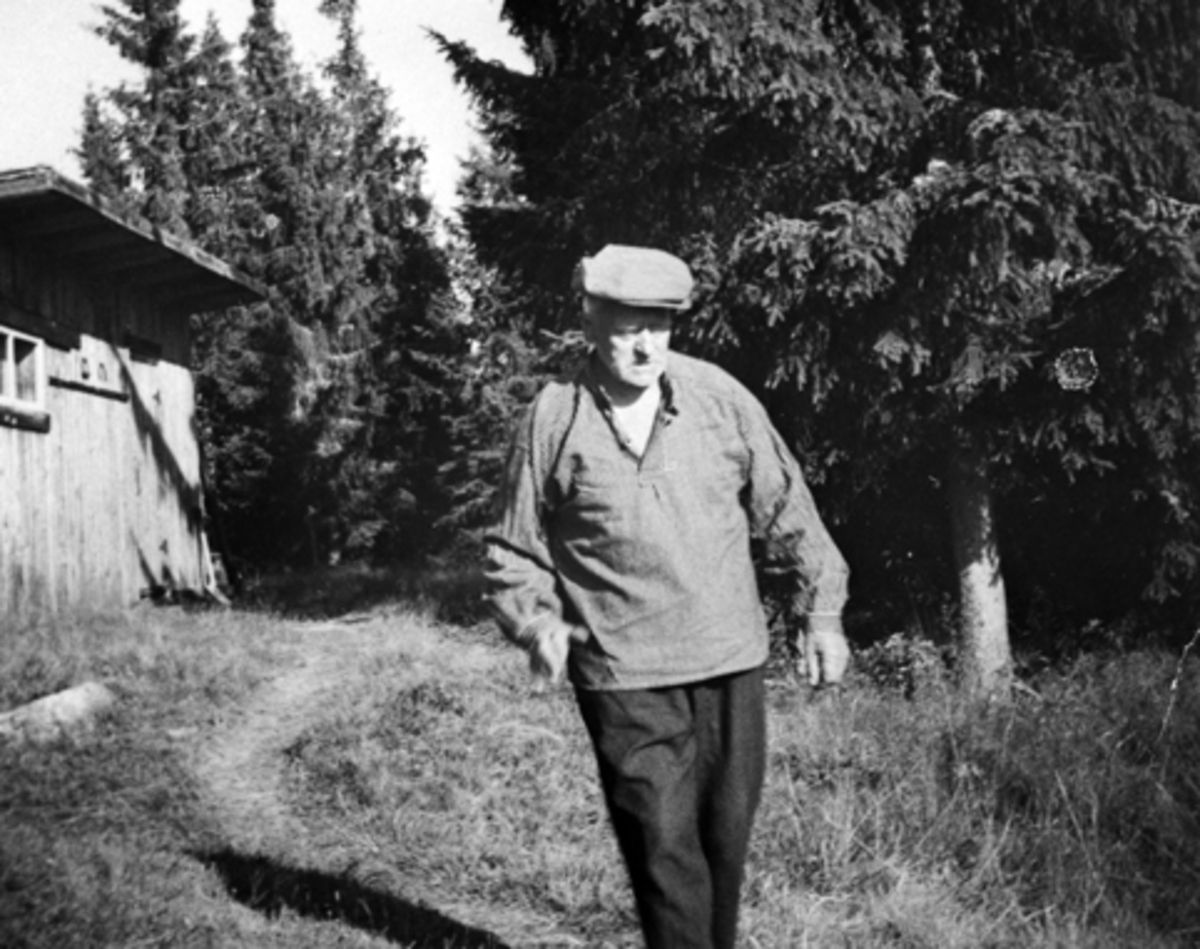 Anno Domkirkeodden, Portrett, skogsarbeider Peder Fredlund, Furnes Almenning.