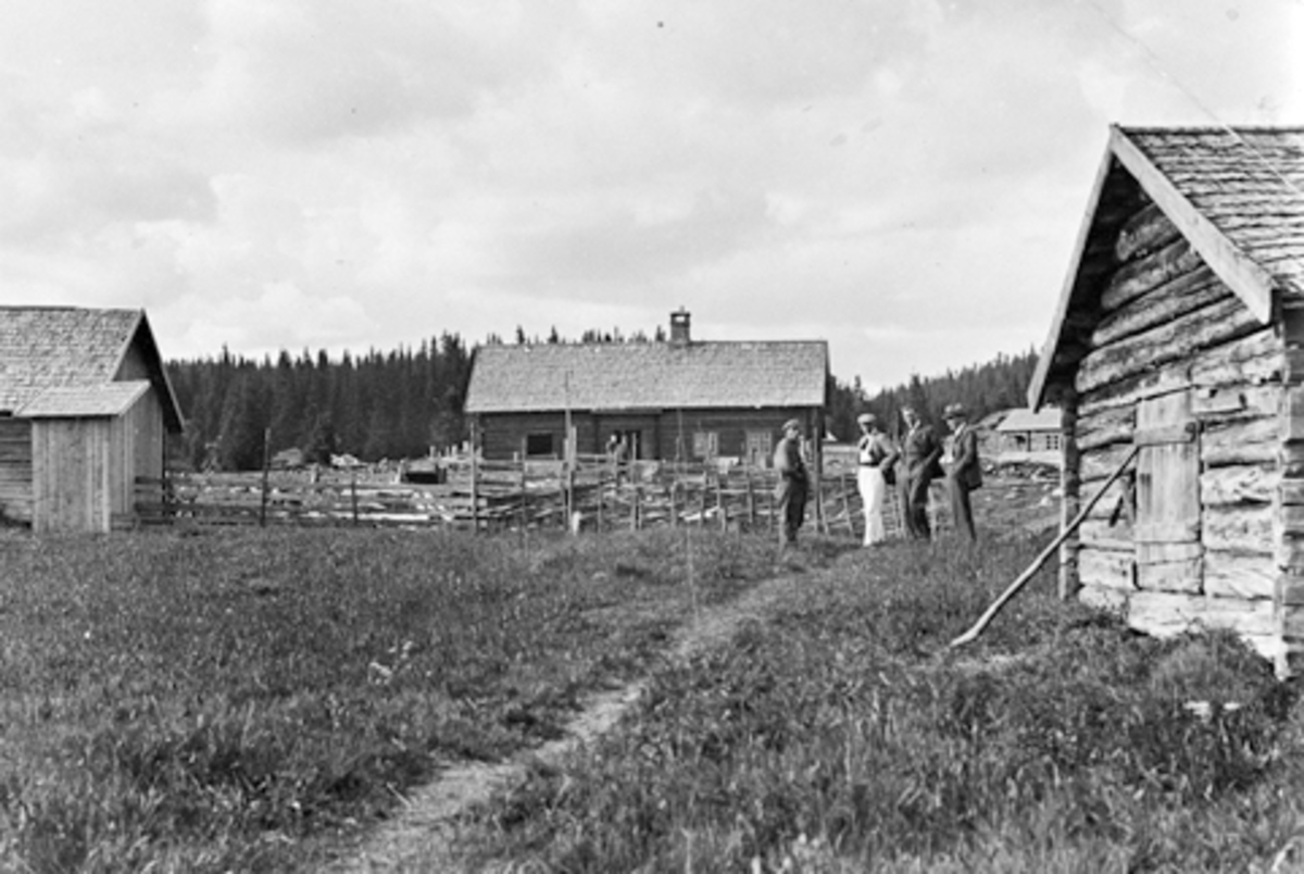 Anno Domkirkeodden, Eksteriør, seterhus, Bogstisetra, Gammelskolla, Ringsaker. Anders Haugli med folk fra turistforeningen Hedmark/Oppland, representert ved Stousland og ingeniør Ondal.