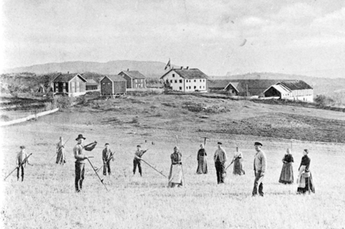 Anno Domkirkeodden, Slåtton på Nedre Kinde, Brøttum, Ringsaker. Gruppe oppstillt med ljå og river. Fra venstre er Aksel Kinde, Inga Vernstuen, Anton Ringen, Karl Odd Sæther, Gunnar Kinde, Kari Dæmmingen, Sigrid Hagelund, Johan Kinde, Kristine Sortåsstuen, Nils Kinde, Matja Dæmmingen, Johanne Kinde.
