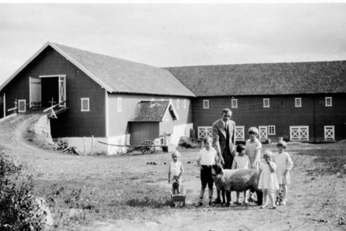 Anno Domkirkeodden, Eksteriør, gardsbruk. Låven på Vetten gård, Jesnes, Ringsaker. Mann og seks barn med sau.