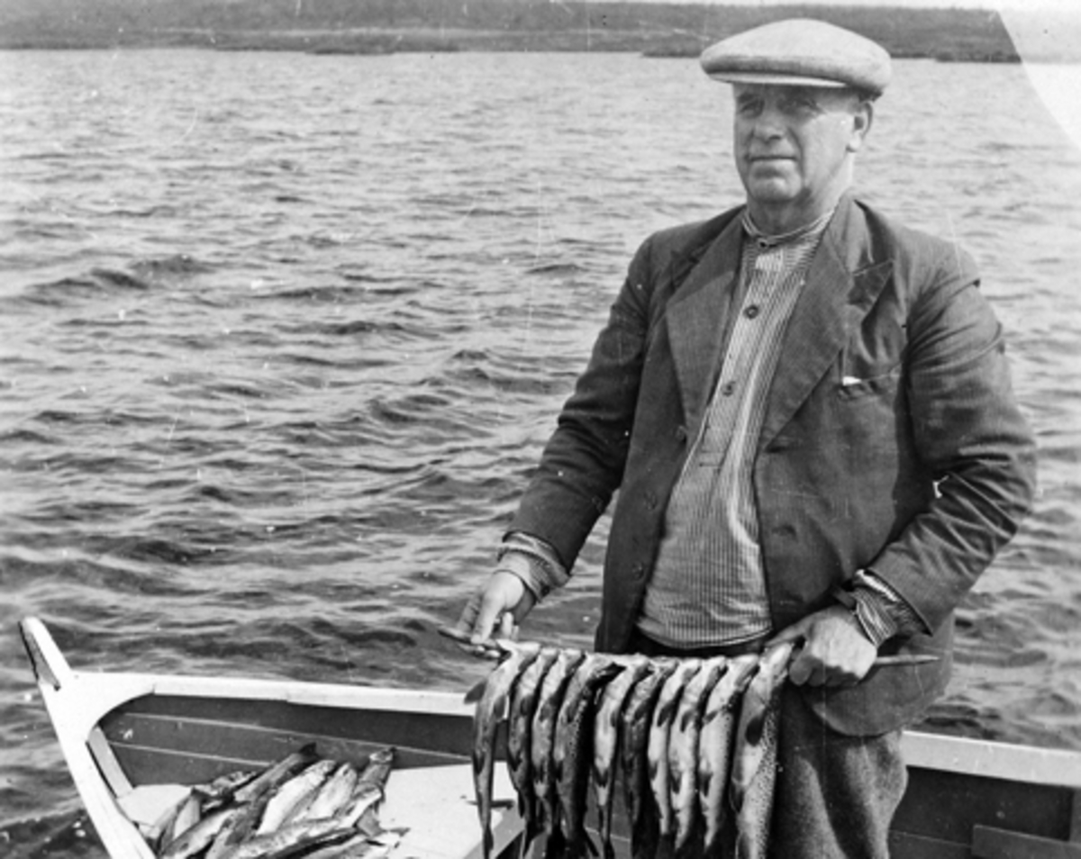 Anno Domkirkeodden, Ørretfiske med garn på Øyungen. Wetten med fangsten i båten.