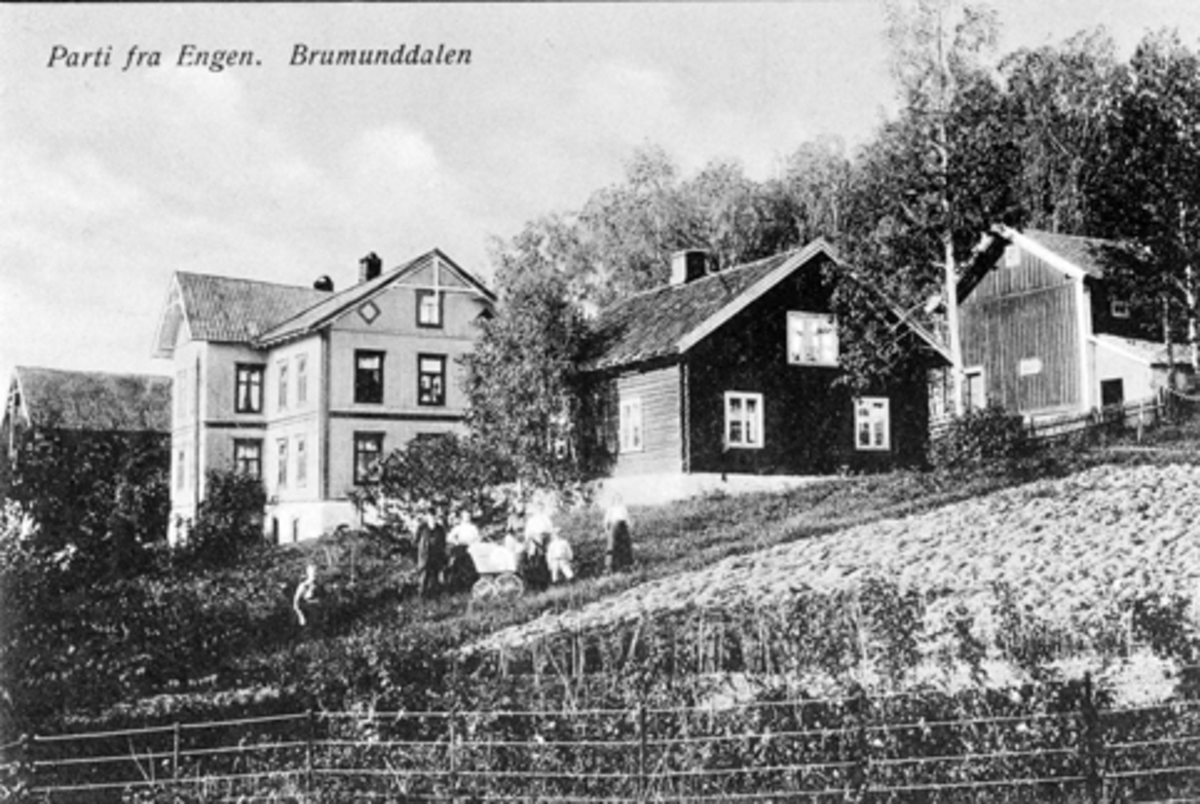 Anno Domkirkeodden, Parti fra Engen, Brumunddal, postkort. Kvernengen, "Enga" med Raustua til høyre.