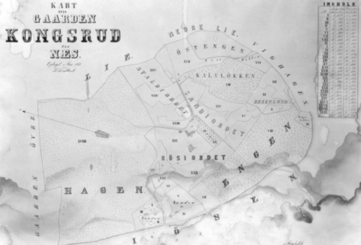 Anno Domkirkeodden, Gardskart over Kongsrud, Nes, Hedmark fra 1873.