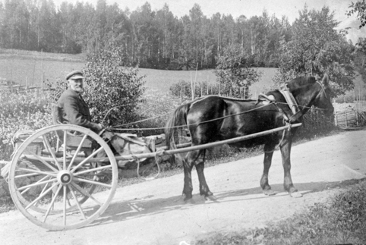 Anno Domkirkeodden, Lars Haakensen Stubberud (1850-1939), postfører i Ringsaker 1874-1919. Bildet er tatt i Åsmarkvegen nedenfor Fossen.