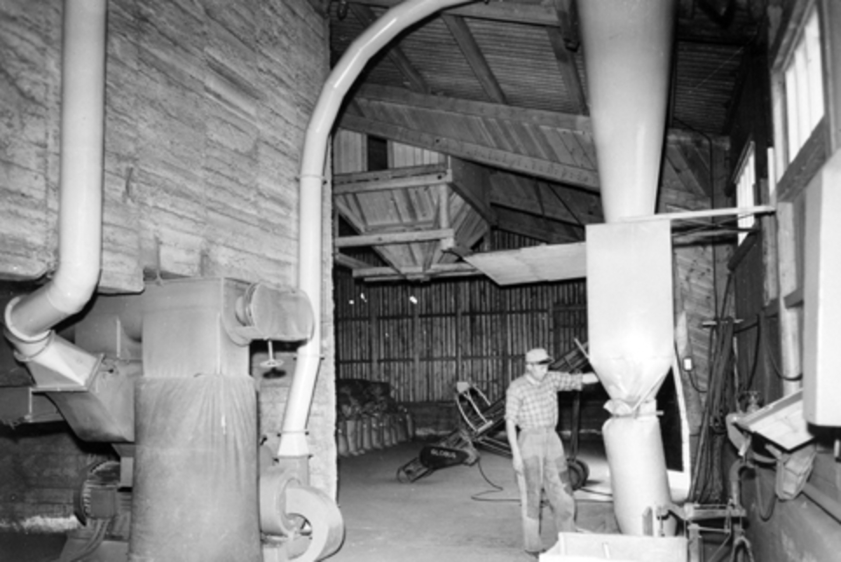 Anno Domkirkeodden, Nes Grasmjølfabrikk, Kvam, Nes, Hedmark. Interiør fra produksjonshallen. Sven Erik Fossum fyller grasmjøl i sekker. Det meste av grasmjølet ble solgt til Felleskjøpet som blandet det i kraftfor.