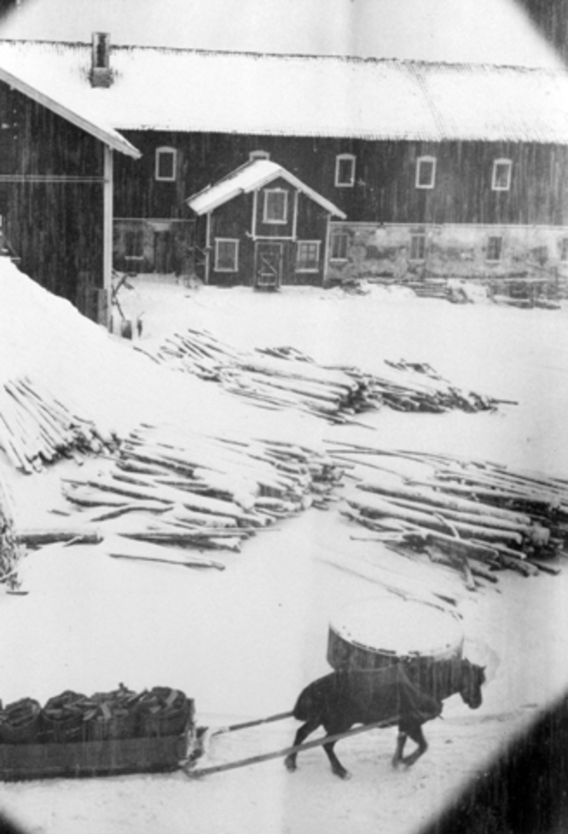 Anno Domkirkeodden, Marie Lier kjører inn juleveden med hest og slede på Mørkved store, Brumunddal, Ringsaker i 1914.