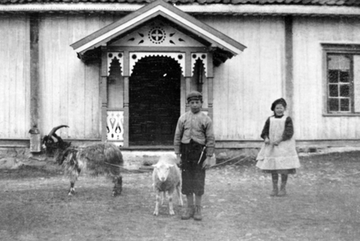 Anno Domkirkeodden, Per og Marie Lier med sine kjæledyre, geit og sau, Mørkved store, År 1906.
