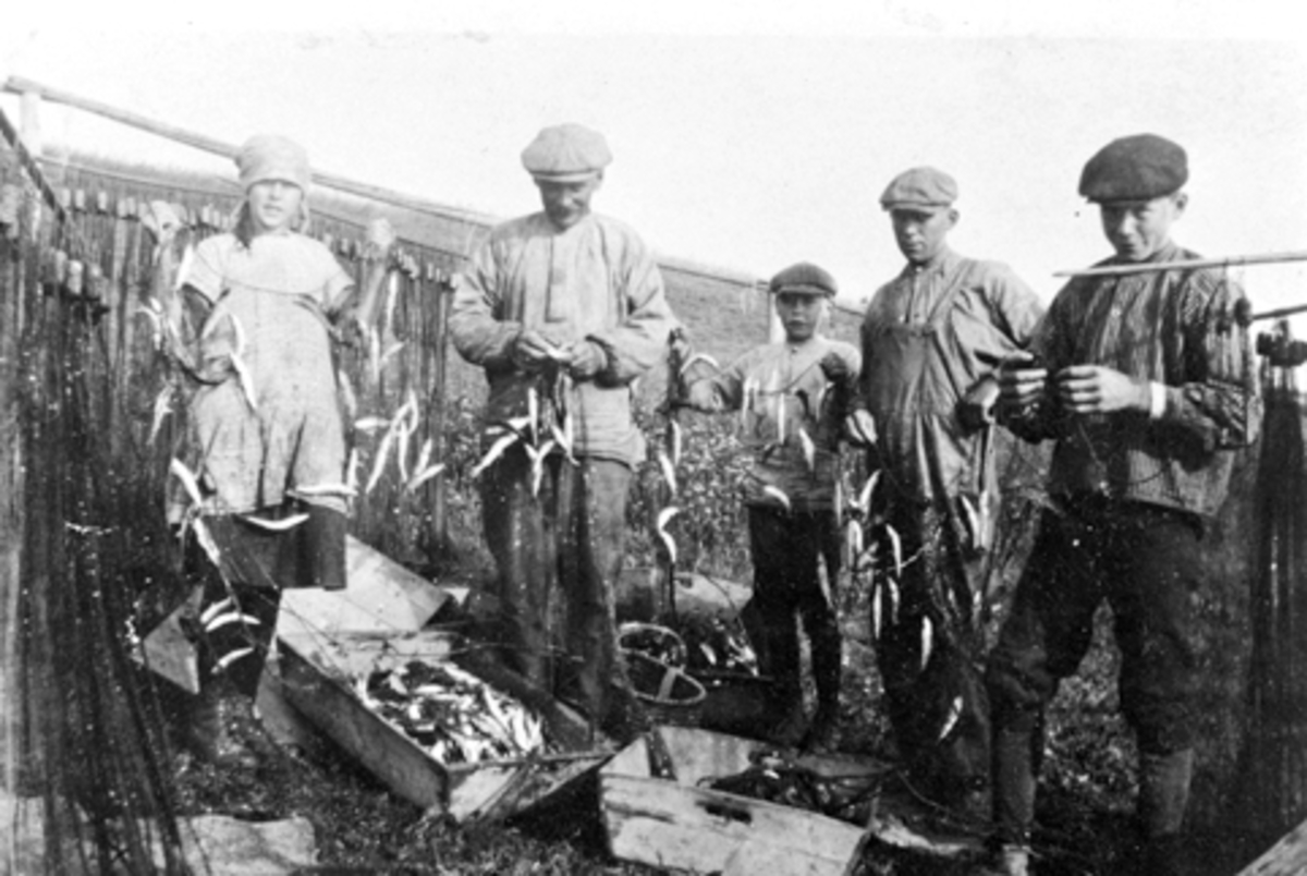 Anno Domkirkeodden, Garnfiske etter lagsild. Fisken tas ut av garnet på Slåtten, Nes, Hedmark. Fra venstre er Agnete (eller Gudrun), ukjent, Leif Lillehagen, Leif Fossum, Even Fossum. Fiskekasser.