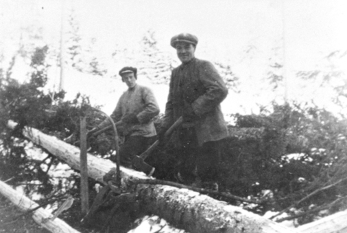 Anno Domkirkeodden, Skogsdrift, Harald f.1899 og Hans Mariendal (1897-1976) , tømmerhoggere med øks og sag. Mariendal, Nes, Hedmark.