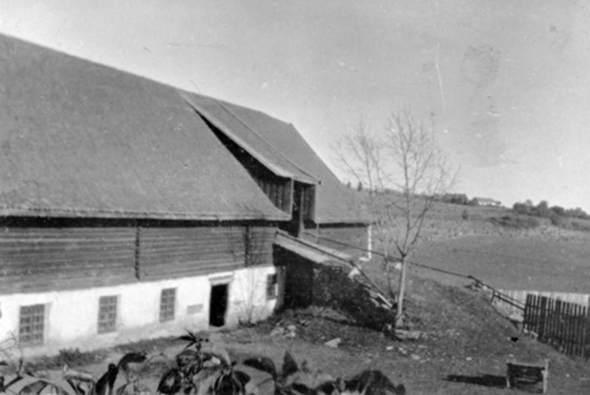 Anno Domkirkeodden, Låve og stall på Hoel gård, Nes, Hedmark,