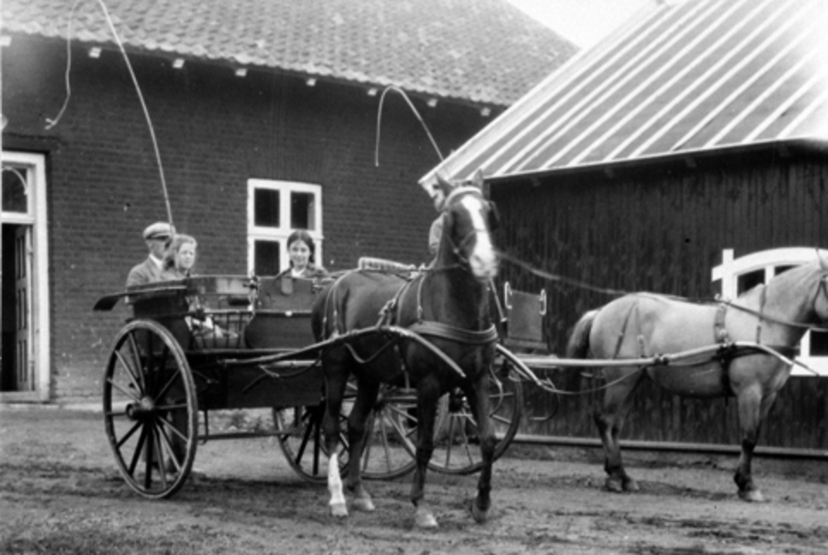 Anno Domkirkeodden, Hester og hestekjøretøy med folk på Hoel gård, Nes, Hedmark.