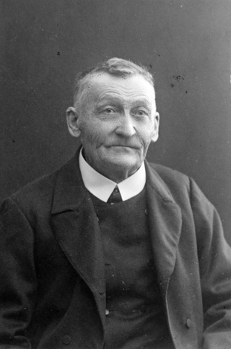 Anno Domkirkeodden, Portrett av Martinius Børresen Hilstad (1834-1929), Hulleberg nedre, Nes, Hedmark.