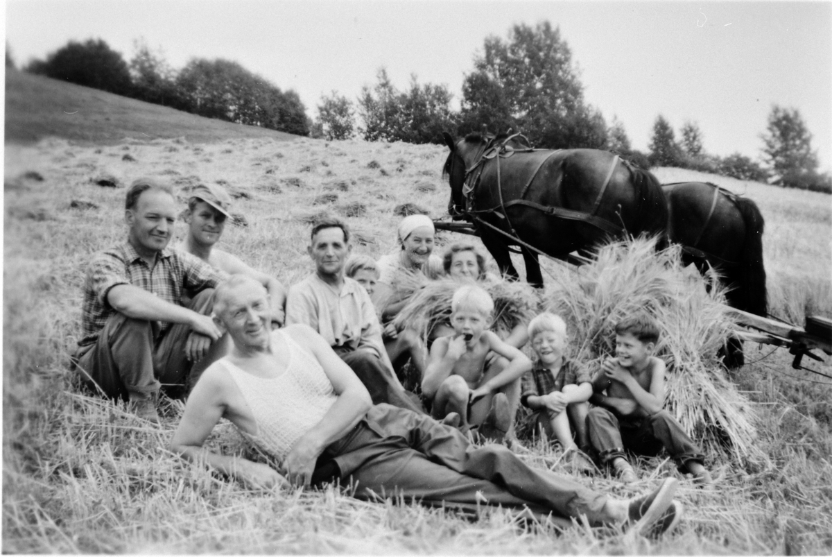 Anno Domkirkeodden, Skuronn på Hovelsrud, Nes, Hedmark. Pust i bakken. Foran er Erik Lien (1914-1999). Til venstre er Mons Kongsrud (1911-1974). Damene bak er Margit Lien f.1920 og Målfrid Lien f.1924.
