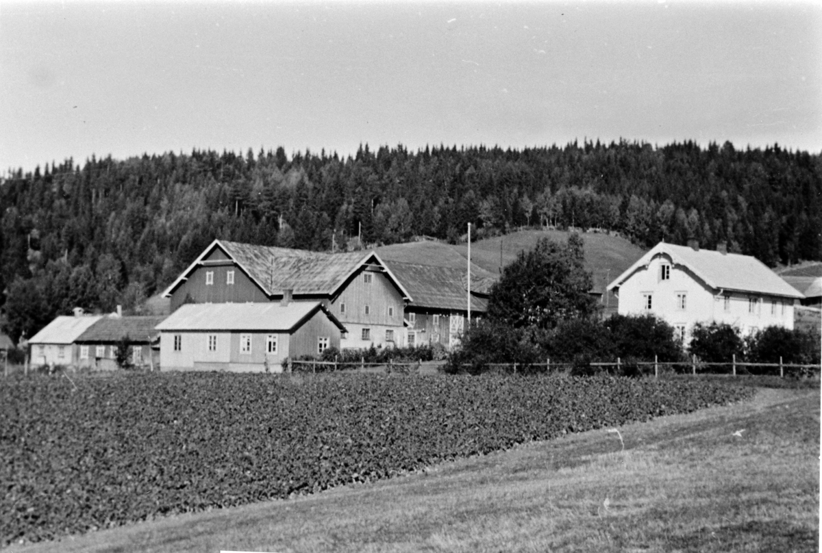 Anno Domkirkeodden, Presterud gård, Stavsjø, Hedmark.