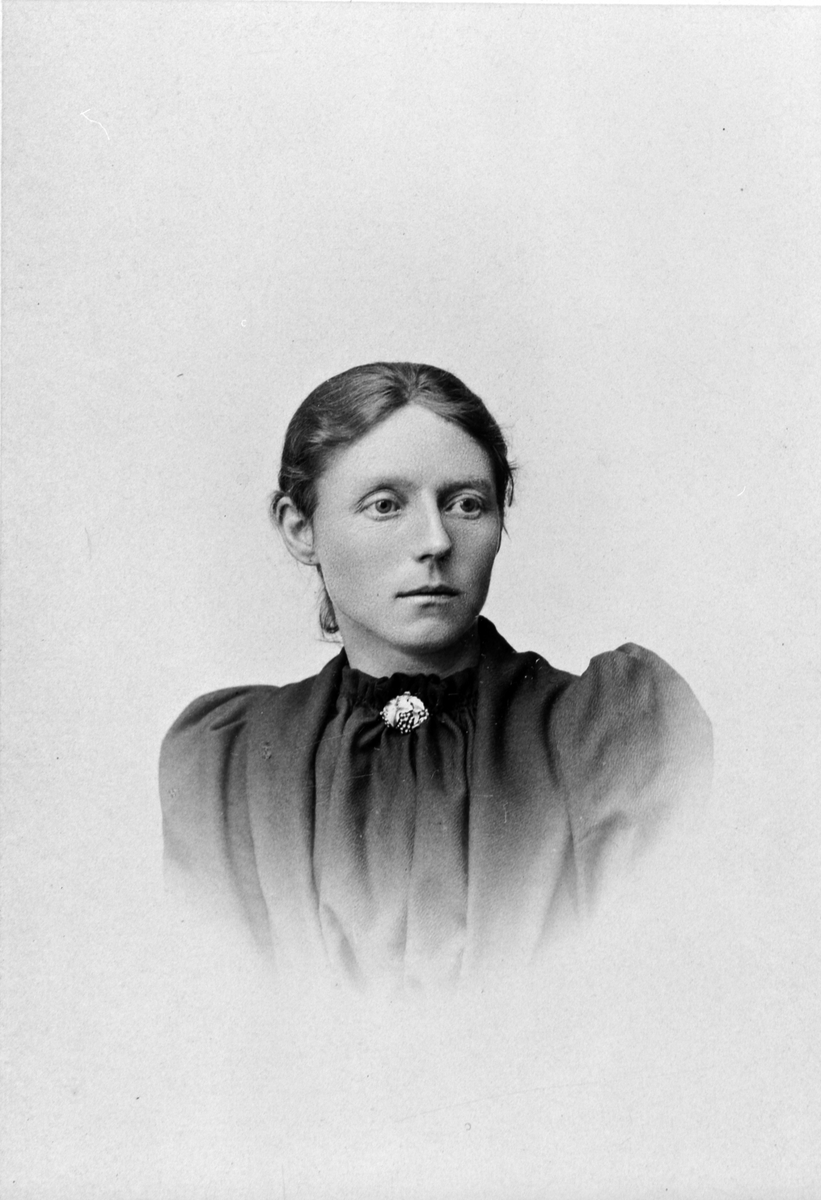 Anno Domkirkeodden, Johanne Kristine Johnsdatter (1861-1896), Kokshus, Nes, Hedmark.