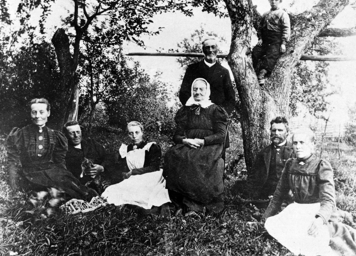Anno Domkirkeodden, I hagen på Sølvsberg, Nes, Hedmark. Foran fra venstre er Karen (1859-1926) og Arnt Sølvsberg (1861-1947), Martha Hoelstad (1873-1949), Pauline Sølvsberg (1820-1904), Johan "Stallkar", Pauline Hoelstad (1877-1966) . Bak er Halvor Sølvsberg (1846-1929) og Nils Kaspersen. Johan Stallkar het Johan Joha…