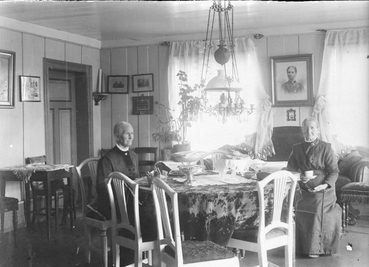 Anno Domkirkeodden, Interiør fra storstua på Baldishol, ved bordet er Anne (1830-1919) og Syverine 1833-1917), Baldishol, Nes, Hedmark.