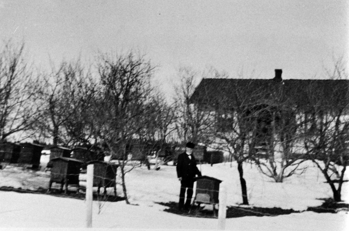 Anno Domkirkeodden, Kaptein Helmer J. Ganes med bikuber, Bækkelund, Nes, Hedmark.