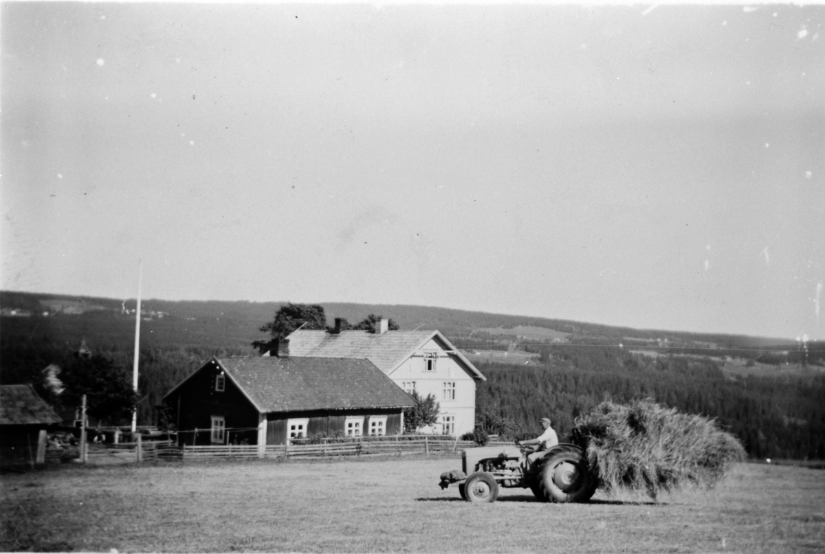 Anno Domkirkeodden, Slåttonn på Torsæter gård, Veldre, Ringsaker. Kjører inn høy med gråtass og høysvans. Sommeren 1955.